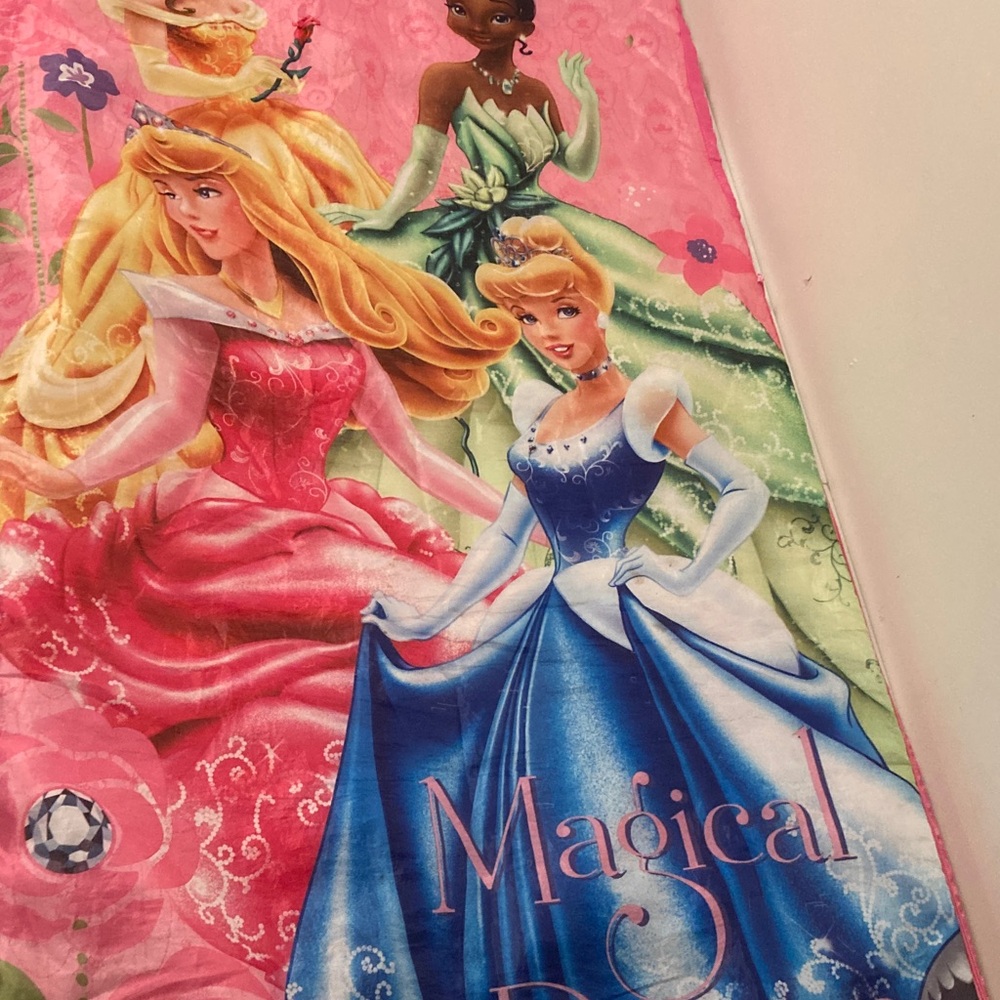 Disney Princess Girls Sleeping Bag